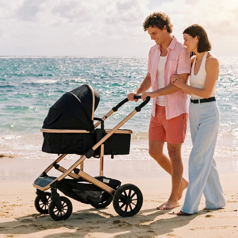 INFANS 2 in 1 Baby Stroller, Folding Newborn Pram Convertible Stroller High Landscape Shock Absorption