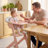 INFANS Baby High Chair, Full-Body Washable High Chairs for Babies and Toddlers