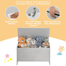 INFANS Wooden Toy Chest , Wide Kids Toy Box Storage Space with Safety Hinge and Handles INFANS
